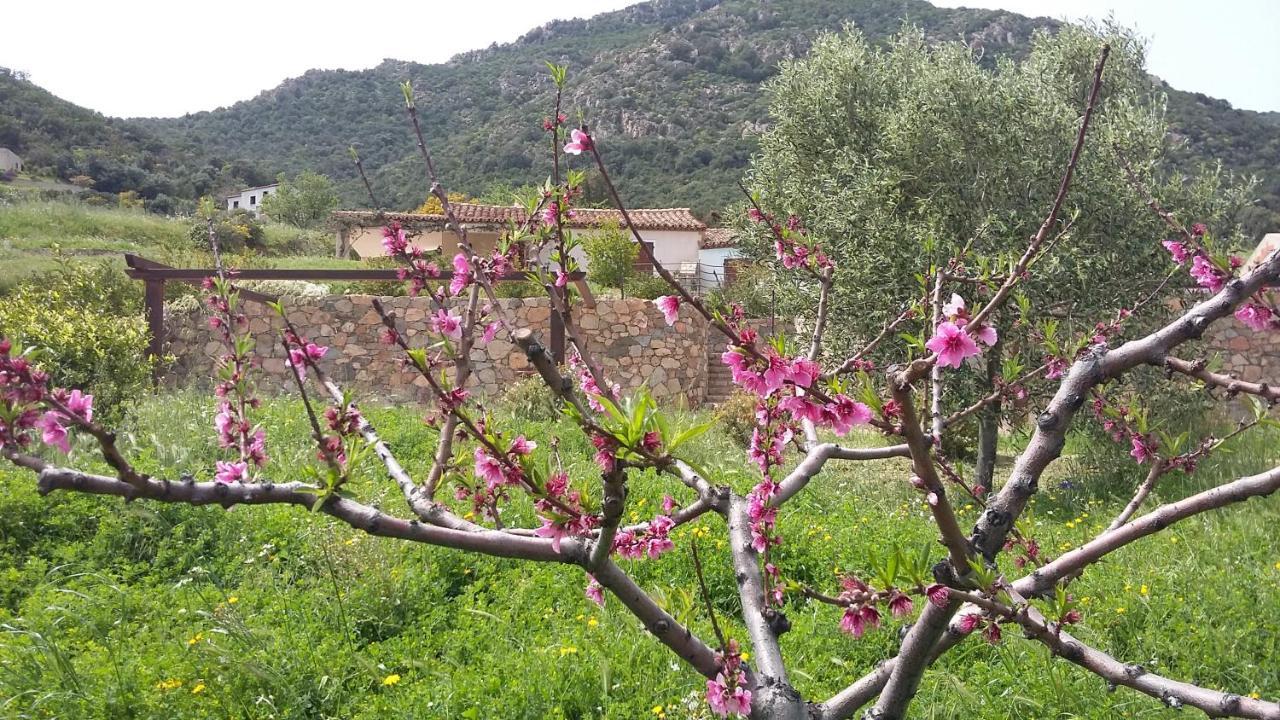 La Casetta Rosa Tertenia Luaran gambar